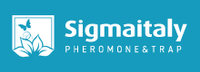 sigma-logo